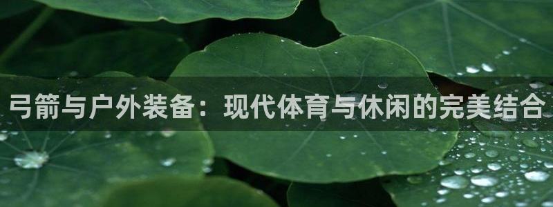 新宝gg手机app