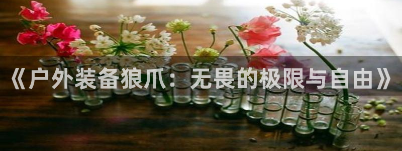 新宝gg娱乐