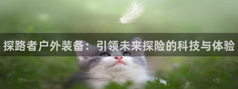 新宝gg账号